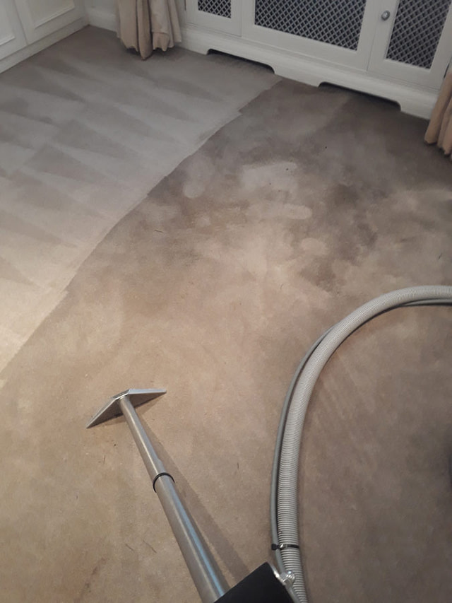 Carpet Cleaning Services London IB Clean Solutions