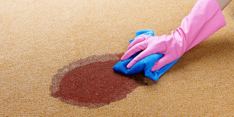 How To Get Ground in Dirt Out of Carpet (5 Different Methods) IB Clean Solutions