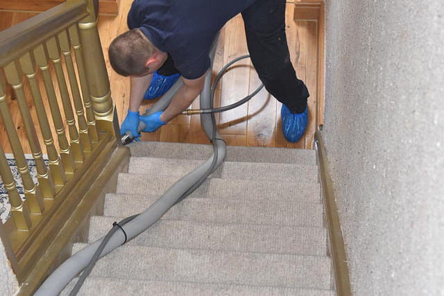 Professional Carpet Cleaning Services IB Clean Solutions